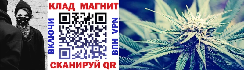 ГАШИШ Щигры