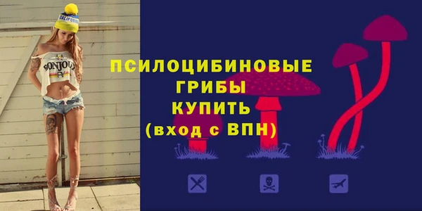 a pvp Алзамай