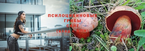 скорость Алексеевка