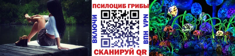 Галлюциногенные грибы мухоморы  маркетплейс наркотические препараты  Щигры 